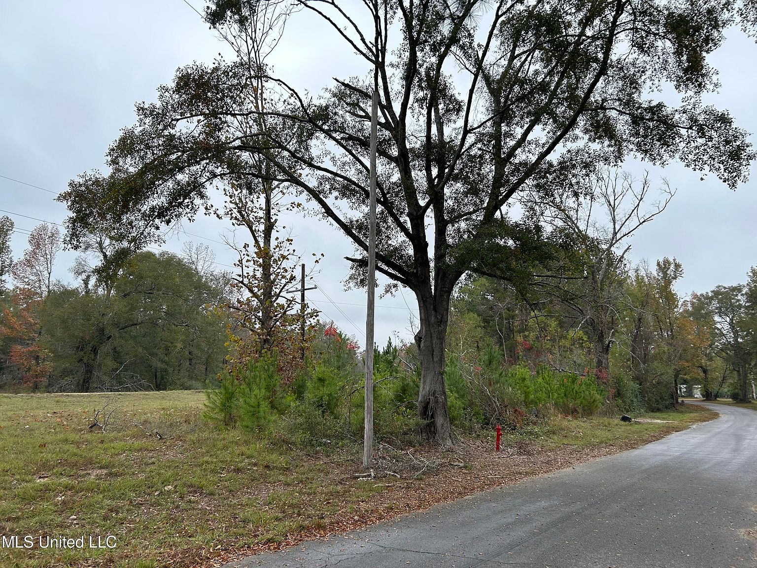 154 Justus Breland Loop, Beaumont, MS 39423 MLS 4064177 Zillow