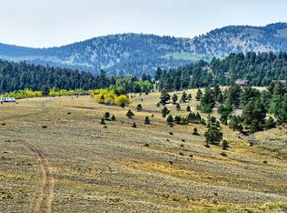 7493 Ranch Rd, Hartsel, CO 80449