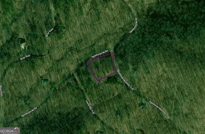 0 Oglethorpe Mountain Rd photo 1