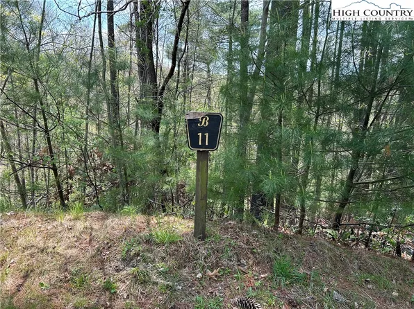TBD New River Overlook (Lot 11) Road, West Jefferson, NC 28694