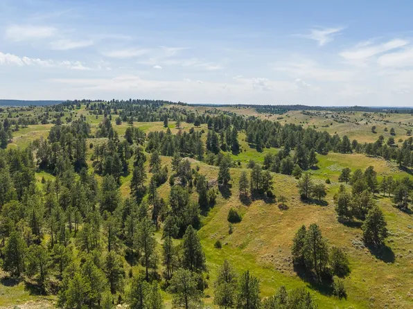 499 Government Canyon Rd, Hulett, WY 82720