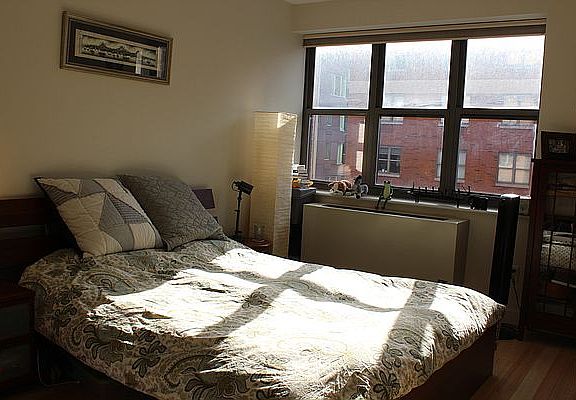 3rd image of 516 W 47th St APT N5f