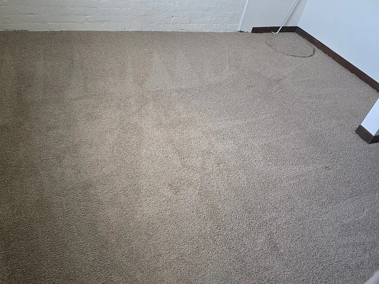 217 Muse St #205 — Photo 7
