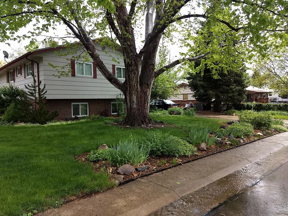Front yard