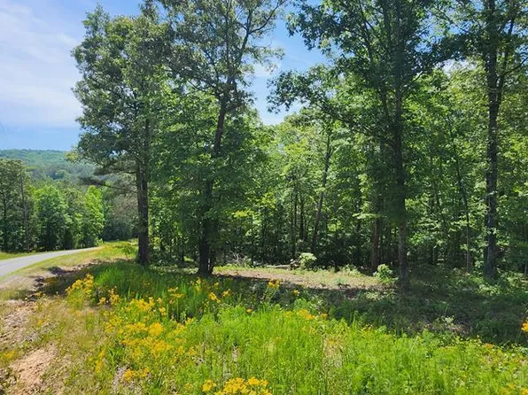 LOT 90 Barrell Knot Ct, Ellijay, GA 30536