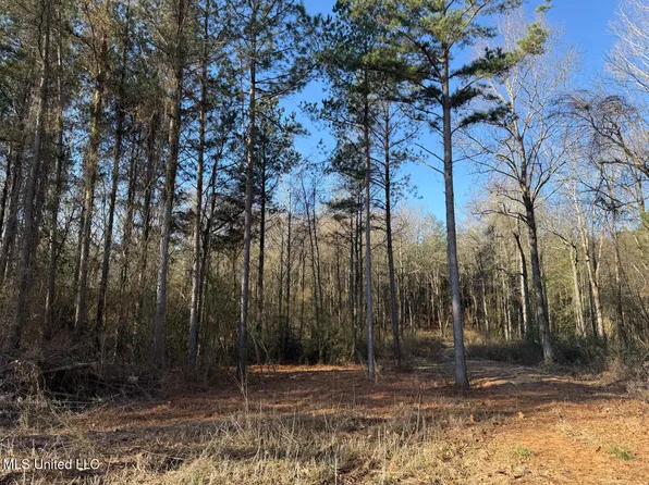 5547 Rocky Point Rd, Carthage, MS 39051