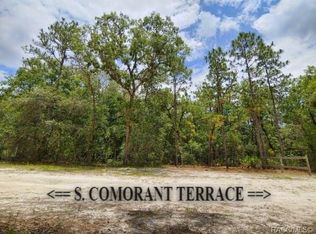 3672 S Chicory Ter, Inverness, FL 34450