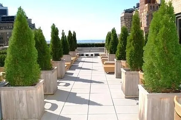 Rented by Realmart Realty LLC | media 34