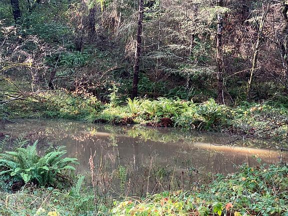 3rd image of ?40 Acres Little Larabee Creek None
