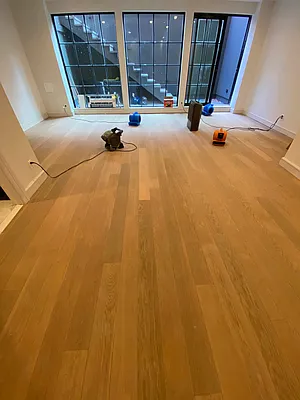 Rented by Madison Estates & Properties | media 56