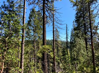 26584 Spring Rd, Pioneer, CA 95666