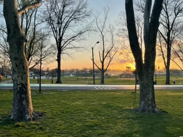 66 Gautier Avenue image 10 of 10