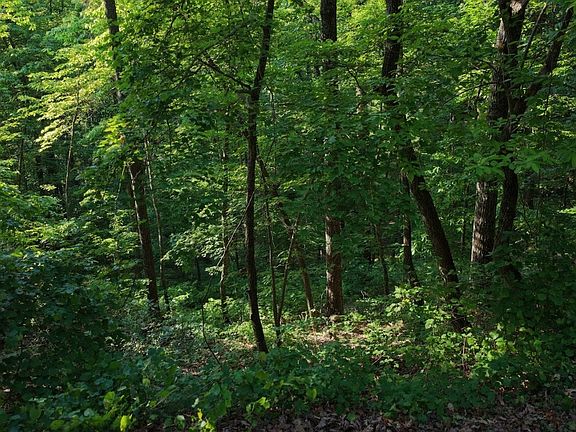 3rd image of 115 Carters Overlook Dr