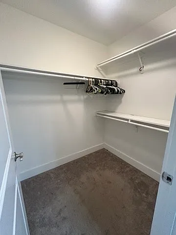 primary closet