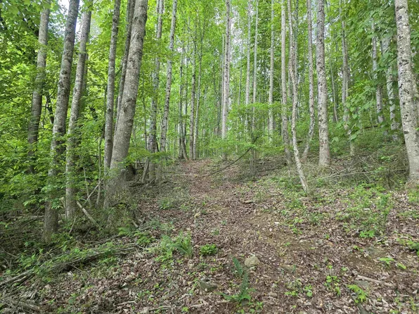 Tbd Bent Nail Rd, Hillsville, VA 24343
