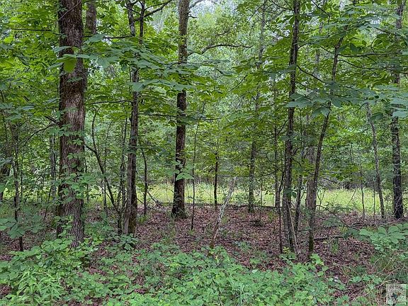 5th image of 0 County Road 3404