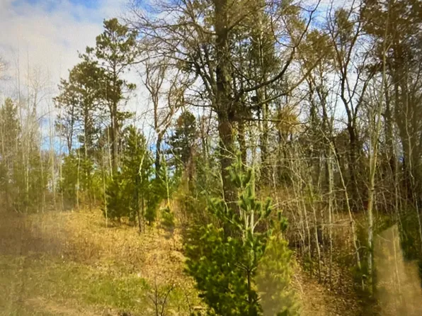 Rolling Oaks Ln, Motley, MN 56466