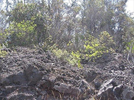 2nd image of Reef Pkwy Lot 11