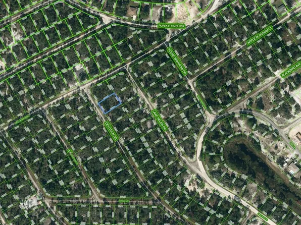 525 Devotion Dr #15, Lake Placid, FL 33852