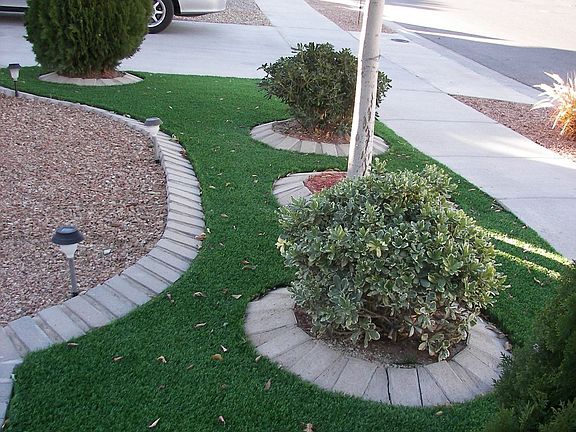 Turf Front Lawn