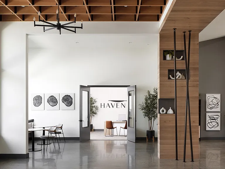 Haven Apartments — Photo 10