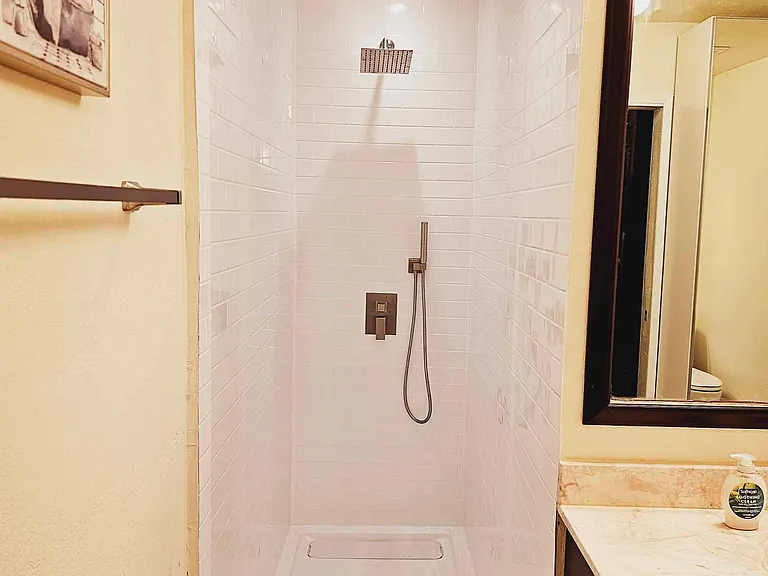 Brand new master shower