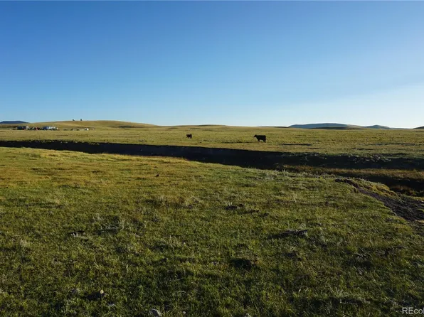 770 Pawnee Trl, Hartsel, CO 80449