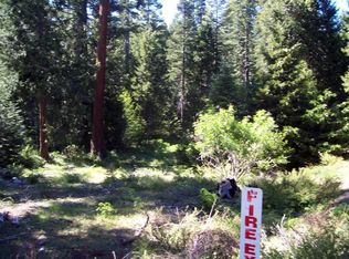 41609 Timber Ridge Ln, Shaver Lake, CA 93664