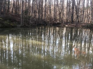 20 McCarver Loop Rd, Dunlap, TN 37327