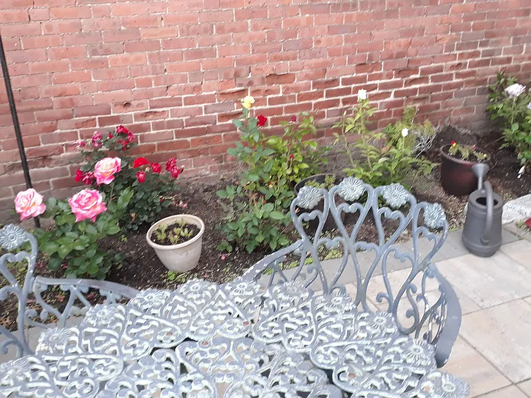 182 Chestnut St #1 — Photo 6