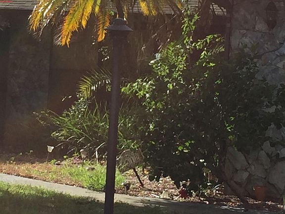 2nd image of 5512 Eagle Dr