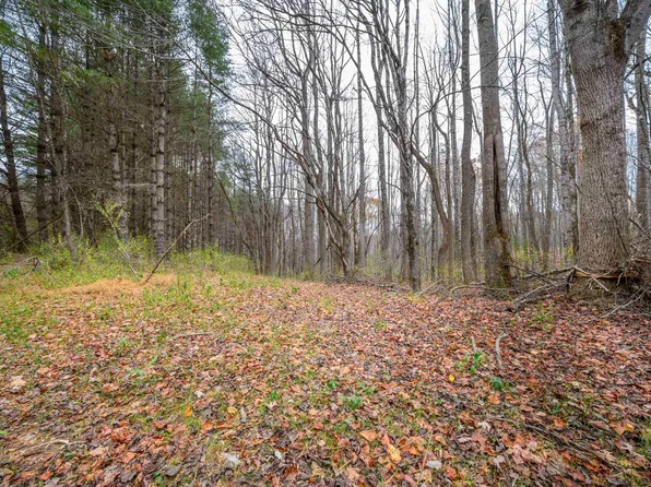 621 Wild Cherry Rd NE, Pilot, VA 24138