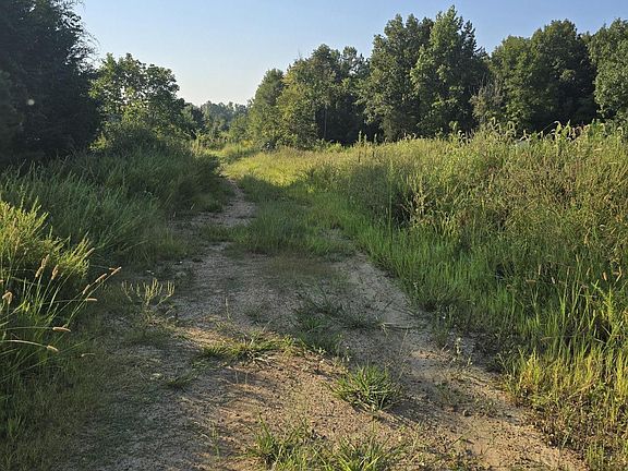 5th image of 4955 Dailey Store Rd Lot 1
