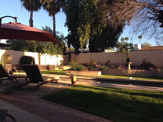resort back yard