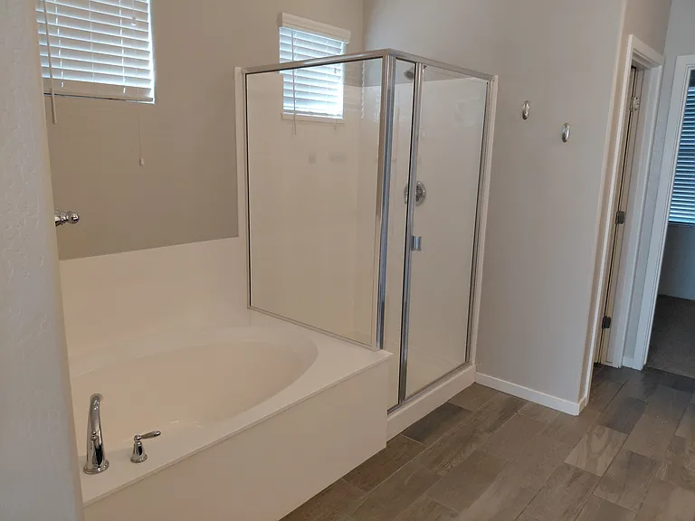 Master Bath Shower and Bath