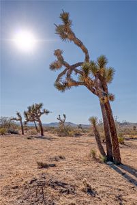 107 Juniper Rd, Joshua Tree, CA, 92252
