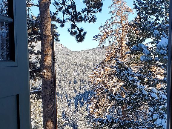 View out front door of cabin