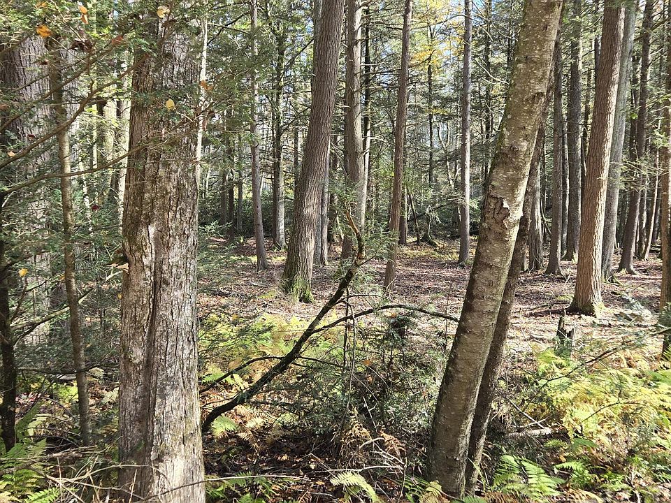 2nd image of C830 & C83 Lakeside Dr