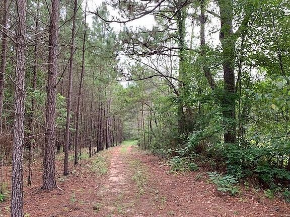 4th image of 1575 Purvis To Baxterville Rd