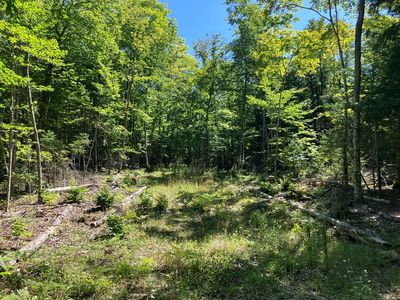 749 Isle View Rd, Ellison Bay, WI, 54210