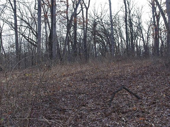 3rd image of 60 Sandy Woods Dr