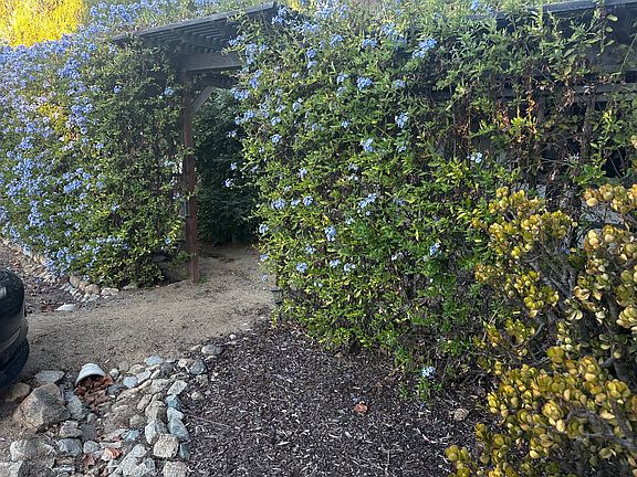 Walkway toward Front Door Entry way