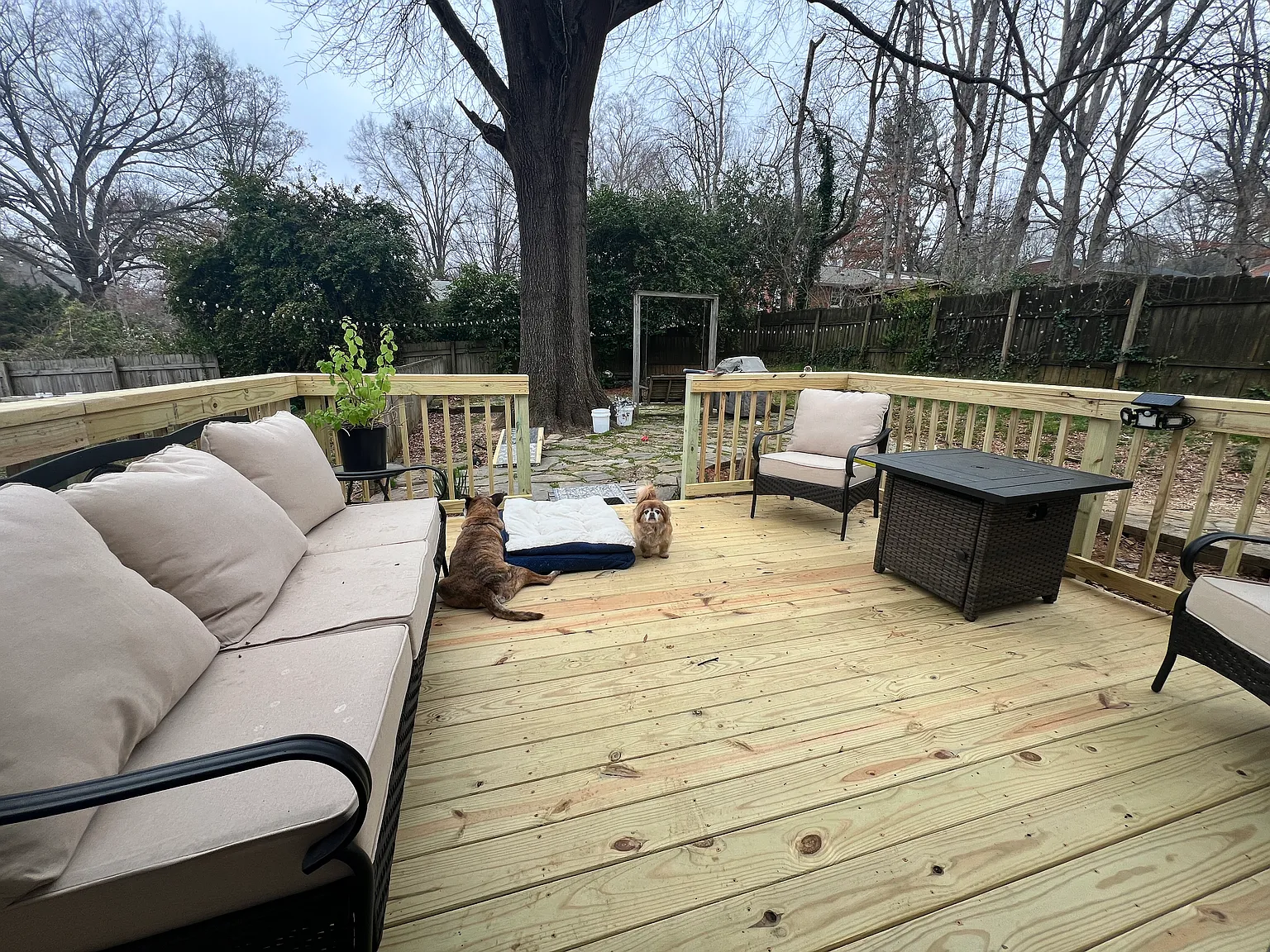 3 bed, 1.5 bath, 1431 sqft, $1,950 — Photo 3