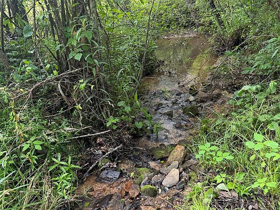 2nd image of 10 Parker Padgett Rd