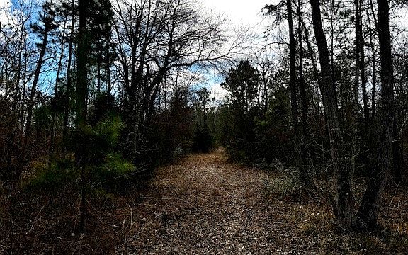 5th image of 0 An County Rd #1233