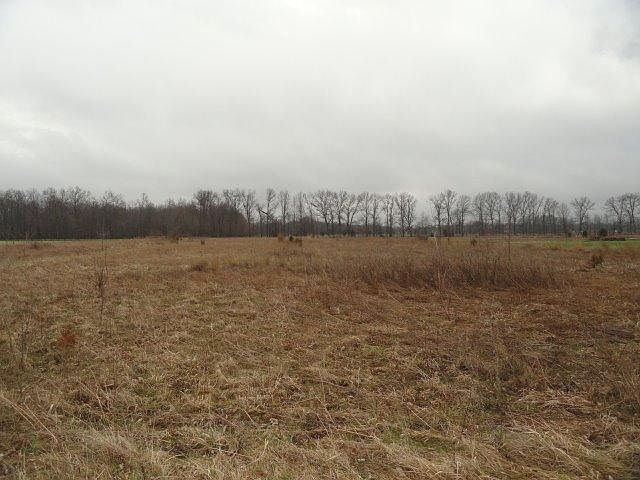 2nd image of 6471 Long Spurling Rd