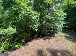 7124 Tantrough Rd, Hiawassee, GA 30546