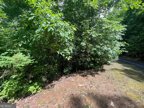 7124 Tantrough Rd, Hiawassee, GA 30546