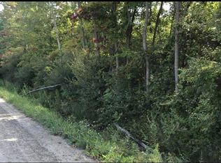 0 Nolan Rd, Goodells, MI 48027