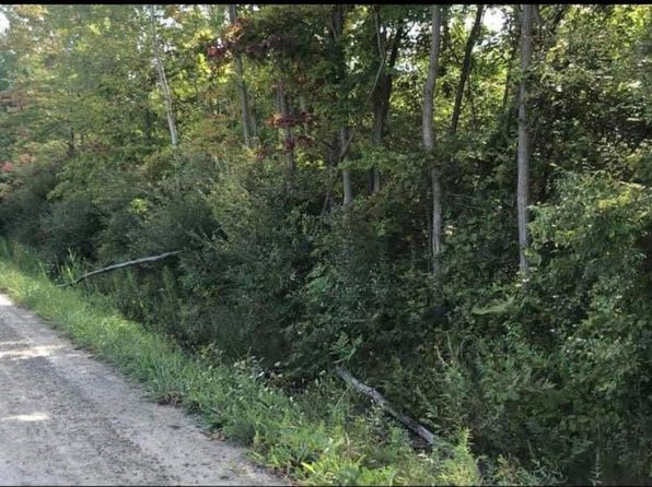 0 Nolan Rd, Goodells, MI 48027